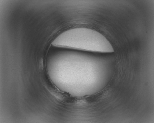 X0000068300262200604211018