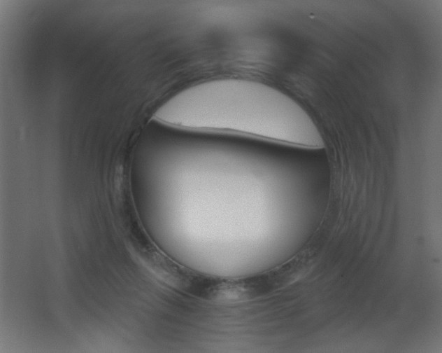 X0000068300263200604211018