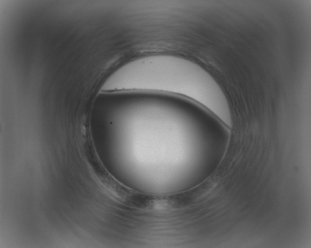X0000068300264200604211018