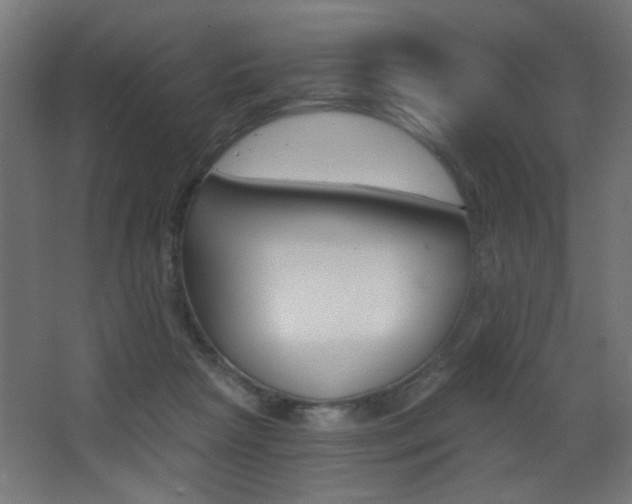 X0000068300265200604211018
