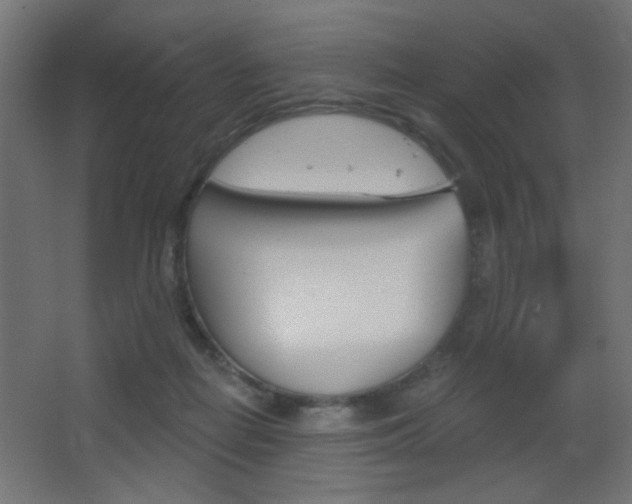 X0000068300266200604211018