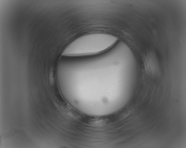 X0000068300267200604211018