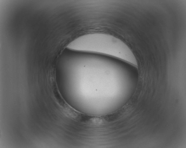 X0000068300272200604211018