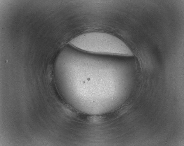 X0000068300273200604211018