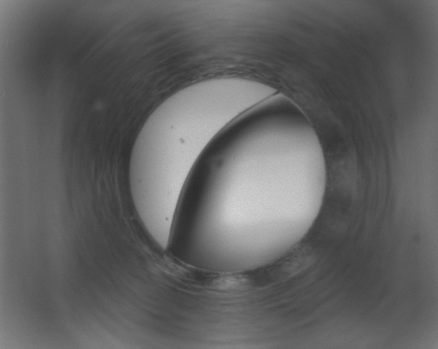 X0000068300274200604211018