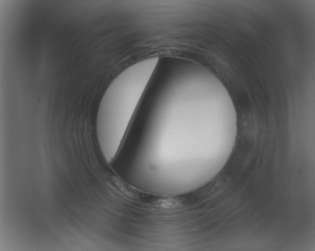 X0000068300275200604211018