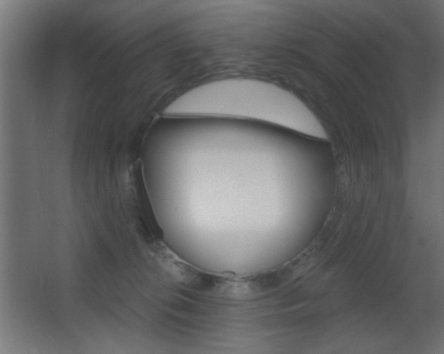 X0000068300276200604211018