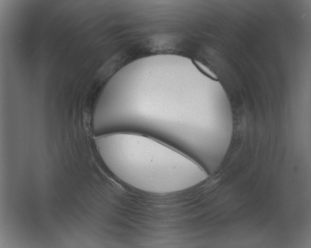 X0000068300281200604211018