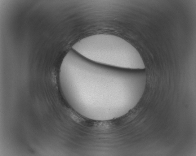 X0000068300282200604211018