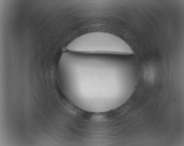 X0000068300283200604211018