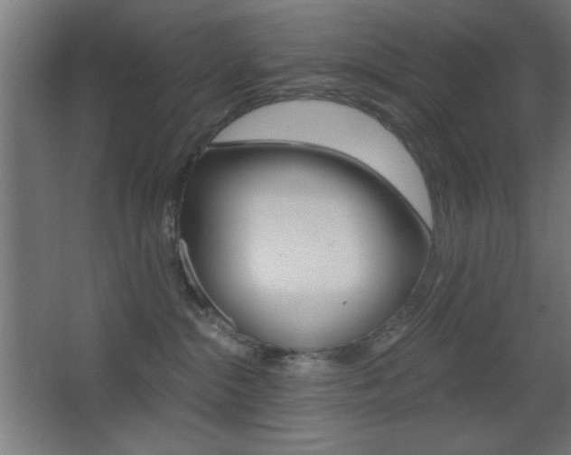 X0000068300284200604211018