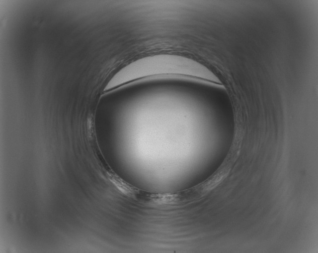 X0000068300288200604211019
