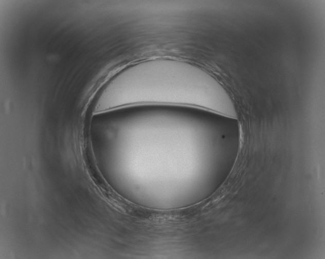X0000068300291200604211018