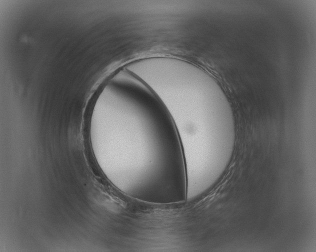 X0000068300292200604211018