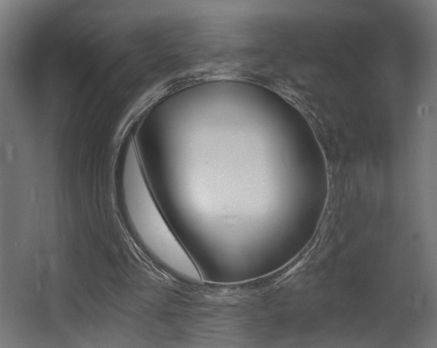 X0000068300293200604211018