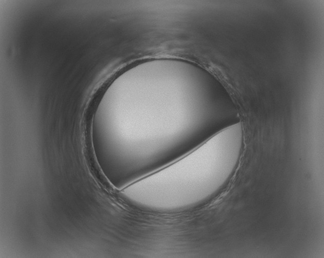 X0000068300295200604211018