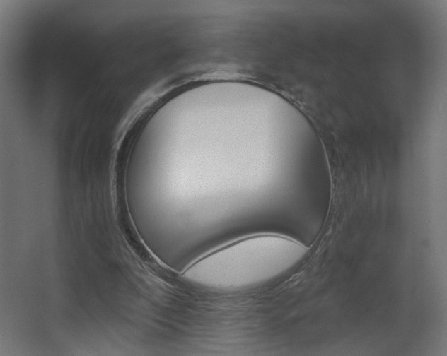 X0000068300296200604211018