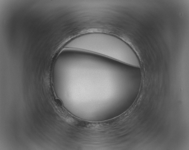 X0000068300297200604211018