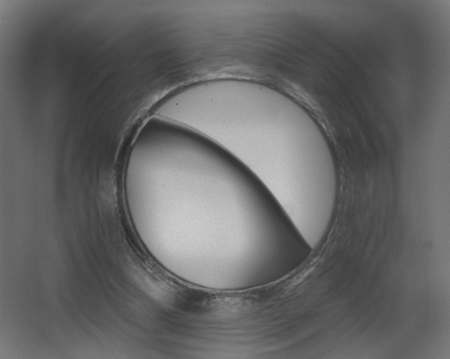 X0000068300298200604211018
