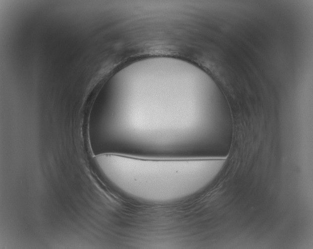 X0000068300299200604211018