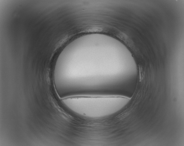 X0000068300300200604211018