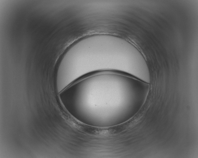 X0000068300301200604211018