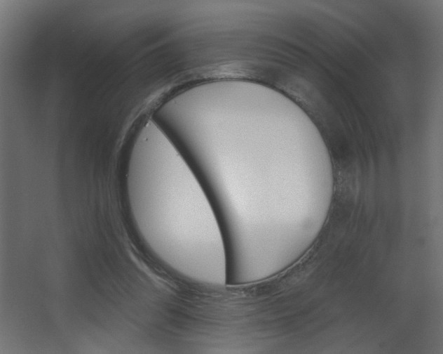X0000068300302200604211018