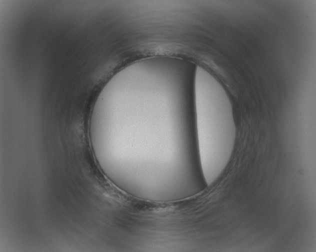 X0000068300306200604211017