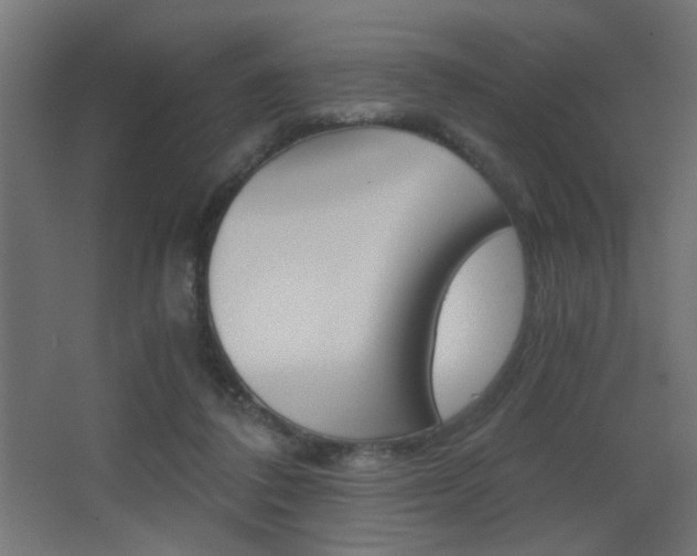 X0000068300308200604211017
