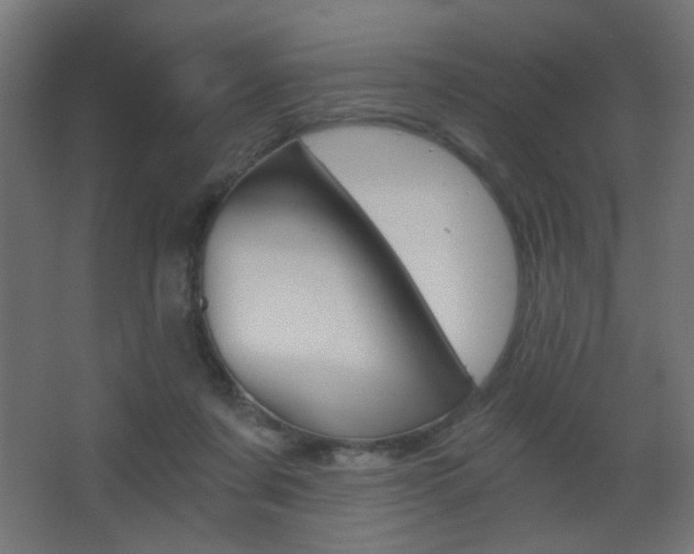 X0000068300311200604211017