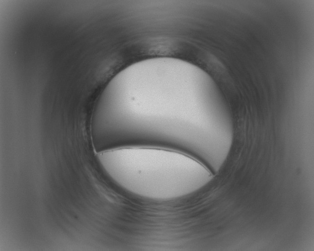 X0000068300312200604211017