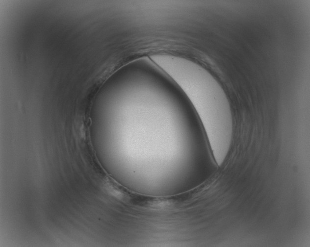 X0000068300313200604211017