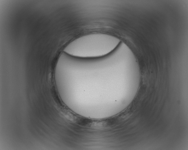 X0000068300314200604211017