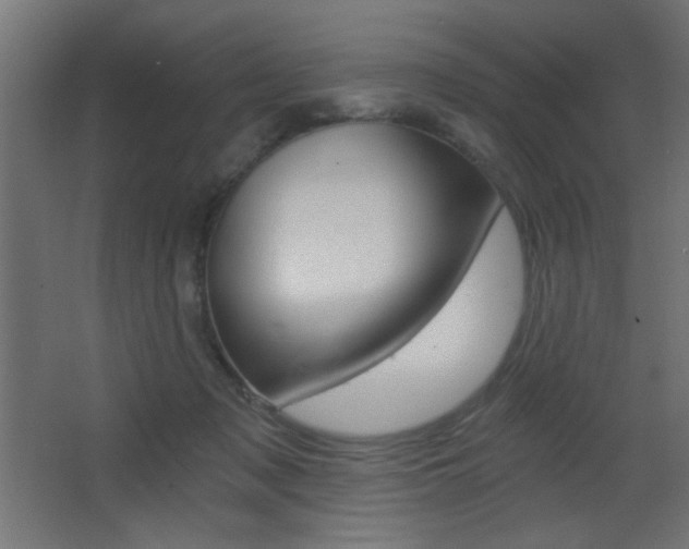 X0000068300317200604211017