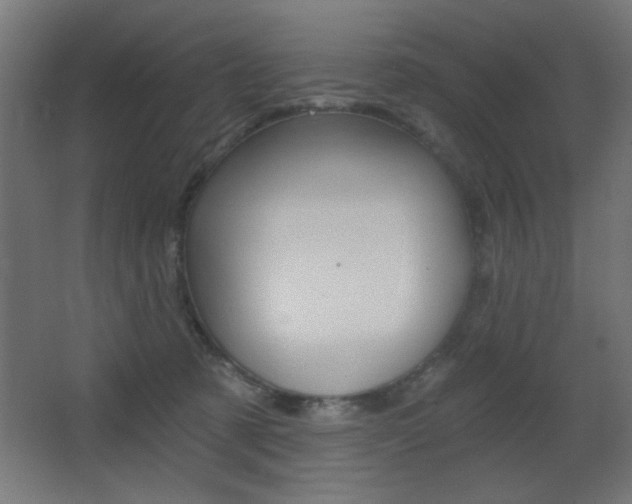 X0000068300321200604211017