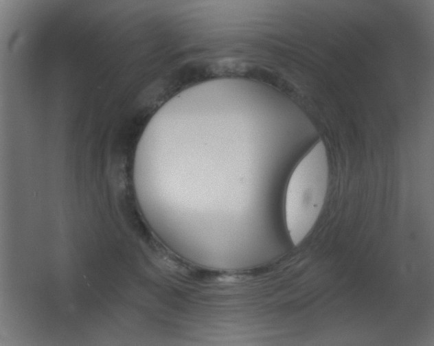 X0000068300323200604211017