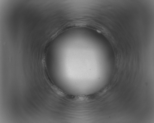 X0000068300329200604211017