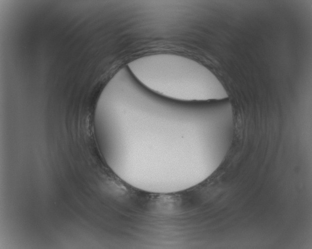 X0000068300330200604211017