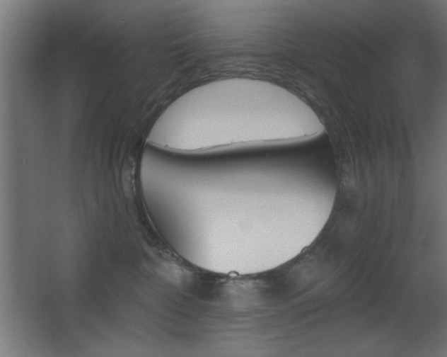 X0000068300332200604211017