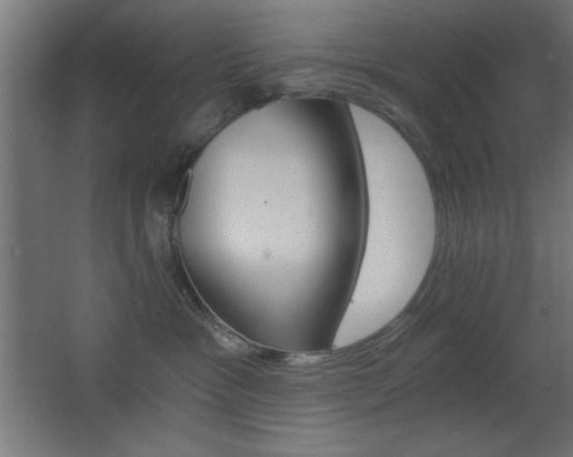 X0000068300333200604211017