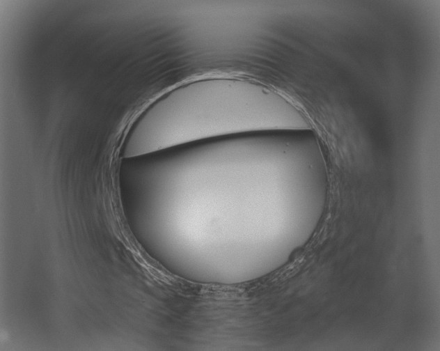 X0000068300337200604211016
