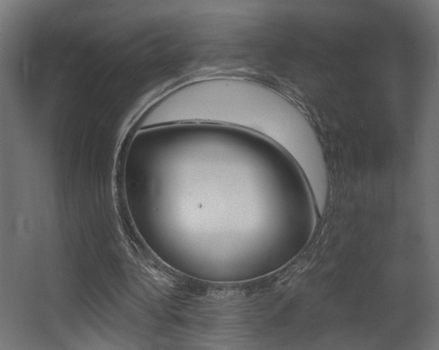 X0000068300340200604211016