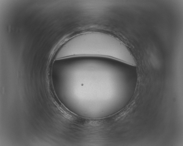 X0000068300341200604211016