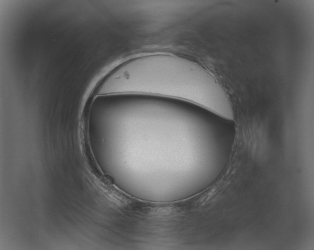 X0000068300342200604211016