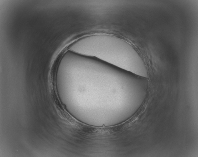 X0000068300343200604211016