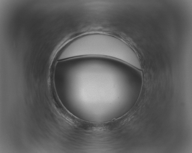 X0000068300344200604211016