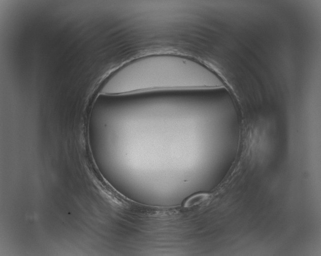 X0000068300345200604211016