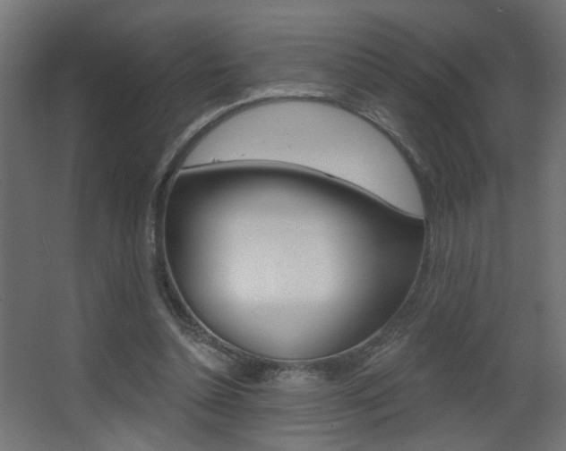 X0000068300348200604211016