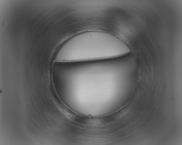 X0000068300349200604211016