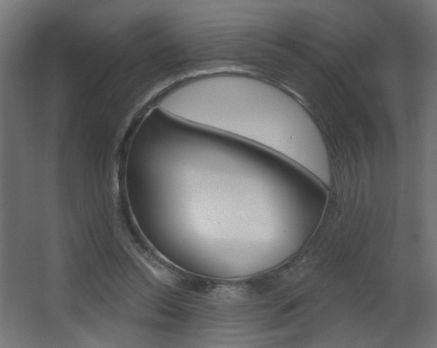 X0000068300350200604211016